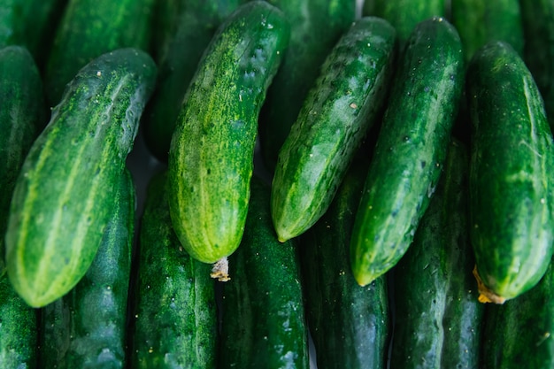 Achtergrond van groene verse komkommers. Natuurlijke textuur. Agrarische industrie. Oogsten.