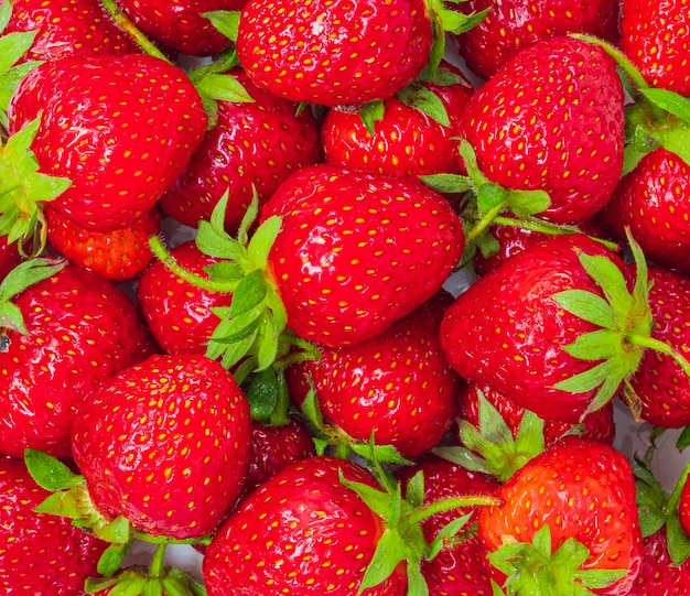 achtergrond van groep aardbeien