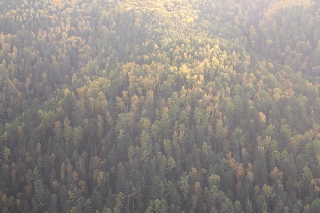 Achtergrond van het herfstbos donkergroene naaldbomen en gele loofbomen op de berghelling Met kopieerruimte