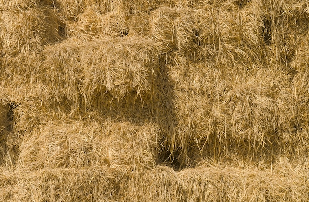 Achtergrond van hooibergen in een veld