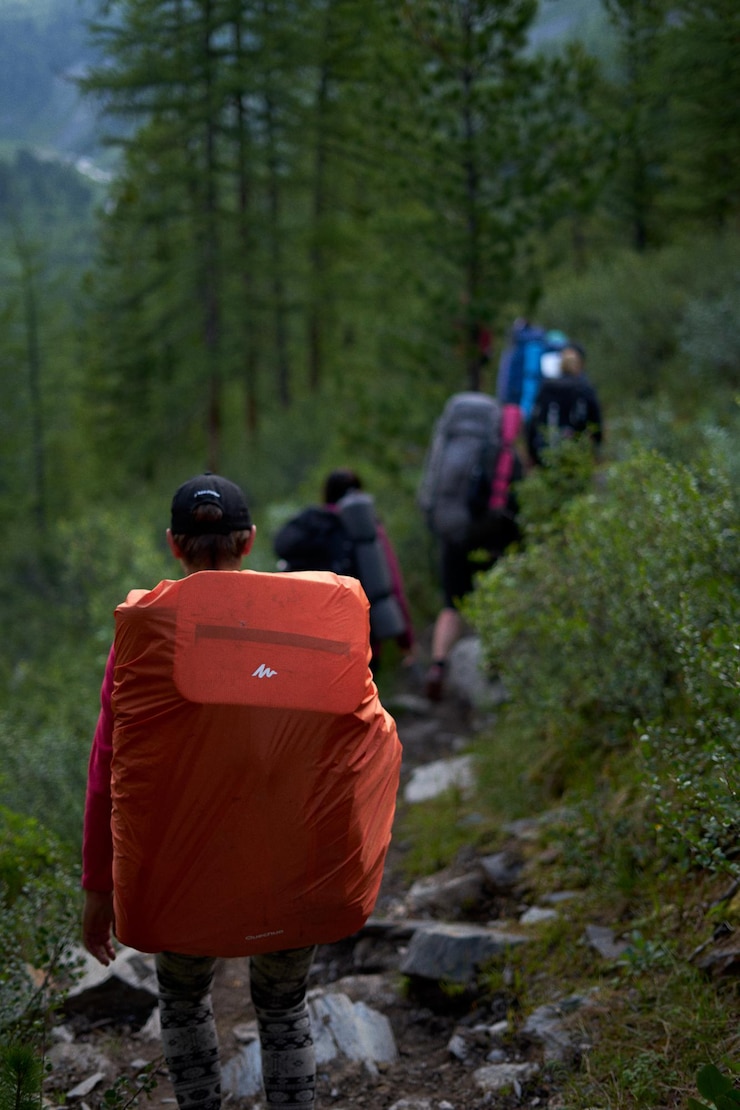 Foto achtergrond van mensen die in het bos lopen