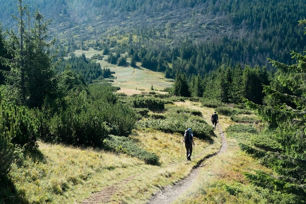 Achtergrond van mensen die op een voetpad in het bos lopen