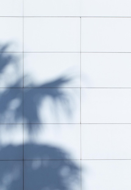 Achtergrond van schaduwen van palmbladeren op de muur in zonlicht