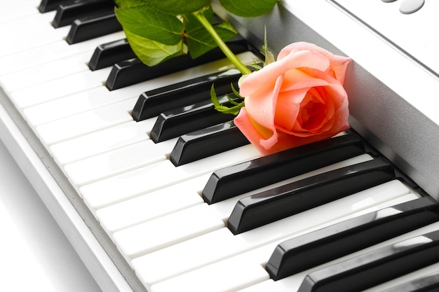 Achtergrond van synthesizertoetsenbord met roos