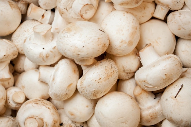 Achtergrond van verse hele champignons gezond voedsel Verse witte champignons