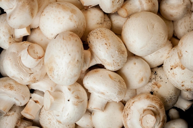 Achtergrond van verse hele champignons gezond voedsel Verse witte champignons