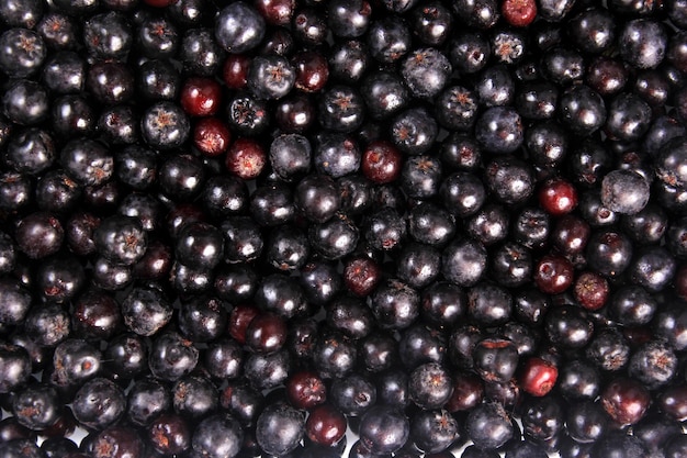 Achtergrond van verse zwarte appelbes. Zwarte aronia, zwarte bes achtergrond