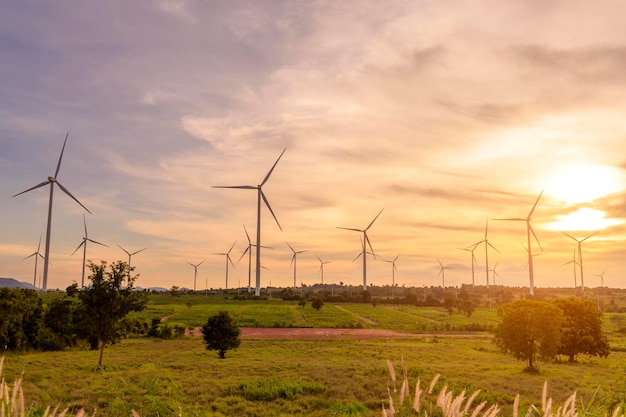 Achtergrond van windturbines velden bij zonsondergang ecologisch behoud concept