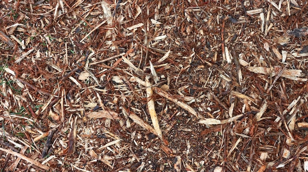 Foto achtergrond van zaagsel en takken die op de grond worden gegoten om vocht in de bodem vast te houden