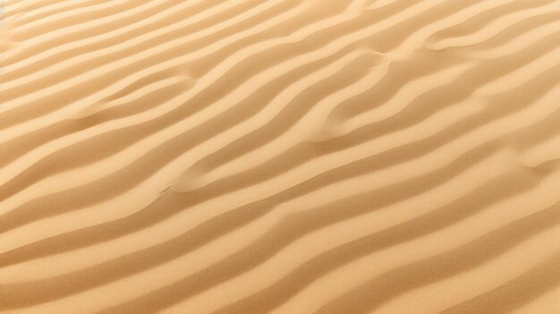 achtergrond van zand op het strand