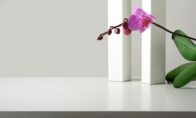 Achtergrond voor de presentatie van goederen, cosmetica, reclame en sjabloon met geometrisch decor, witte pilaren en kubussen, orchideebloem.