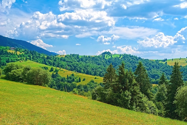 achtergrondaard van de Karpaten. berglandschap op een zonnige dag. beukenbos aan de