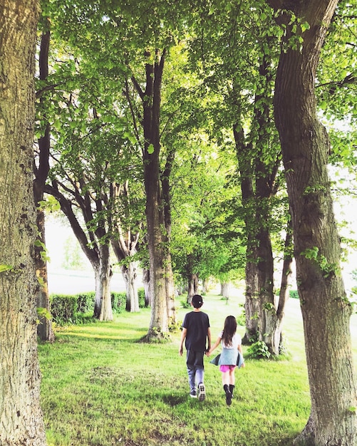 Foto achtergrondbeeld van broers en zussen die op het veld tussen de bomen lopen