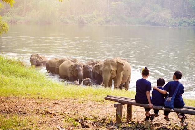 Foto achtergrondbeeld van een familie reizigers die naar een kudde aziatische olifanten kijken die in de rivier baden