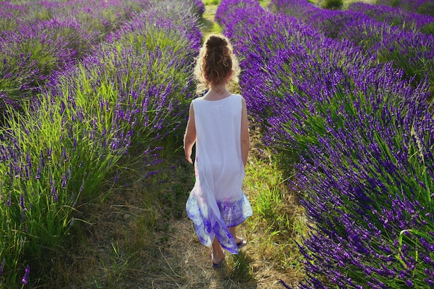 Achtergrondbeeld van een kleine vrouw die op een lavendelveld staat