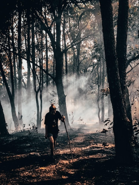 Achtergrondbeeld van een man die bij bomen in het bos staat