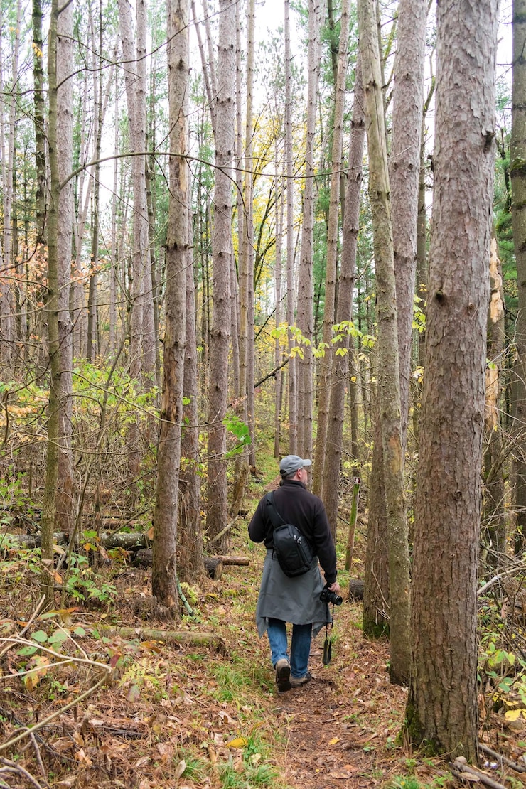 Foto achtergrondbeeld van een man die in het bos loopt