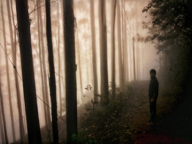 Foto achtergrondbeeld van een man die in het bos loopt