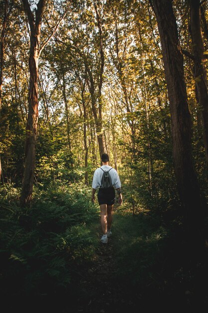 Achtergrondbeeld van een man die in het bos loopt