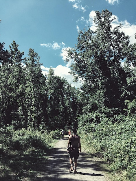 Foto achtergrondbeeld van een man die op de weg in het bos loopt