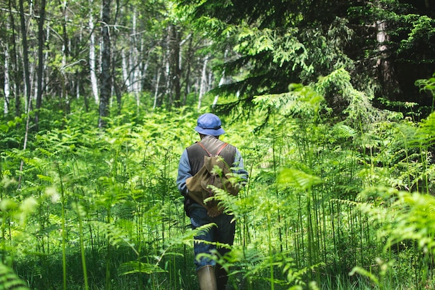 Achtergrondbeeld van een man die tussen bomen in het bos wandelt
