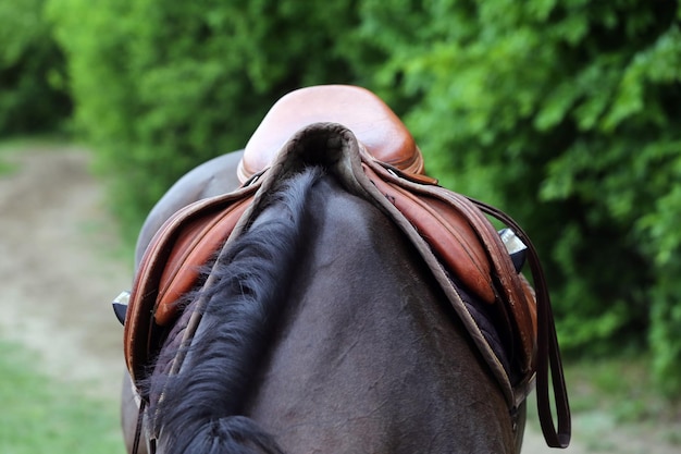 Foto achtergrondbeeld van een man met een hoed buiten