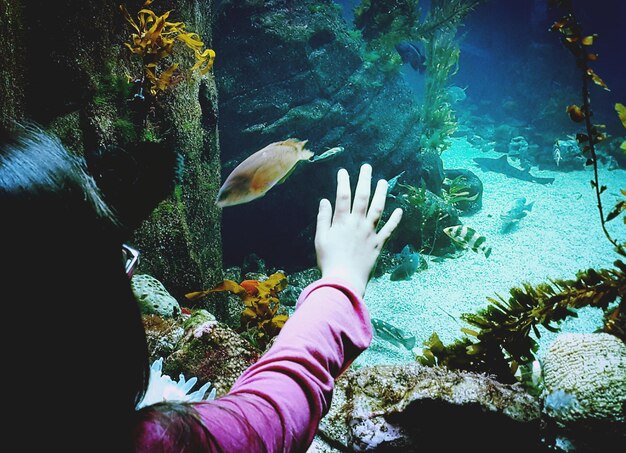 Foto achtergrondbeeld van een meisje dat het aquarium aanraakt