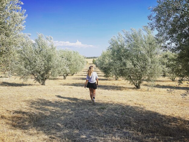 Foto achtergrondbeeld van een meisje dat in de zomer door een olijvenplantage loopt