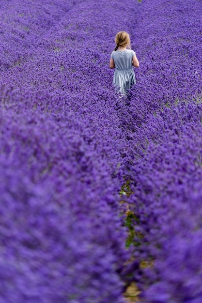Achtergrondbeeld van een meisje dat in het midden van paarse lavendelbloemen op het veld loopt