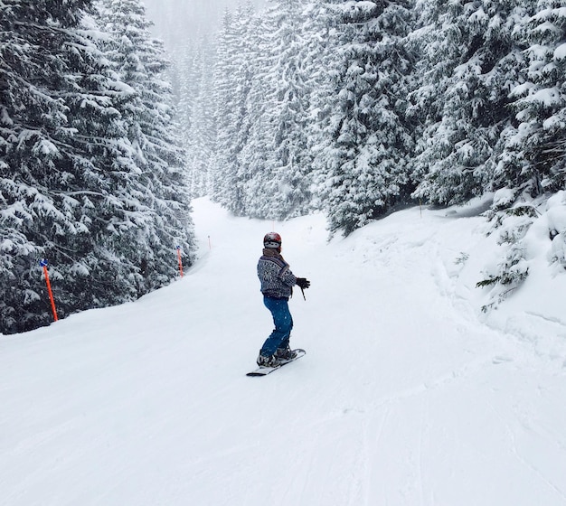 Achtergrondbeeld van een persoon die snowboardt in een met sneeuw bedekt bos