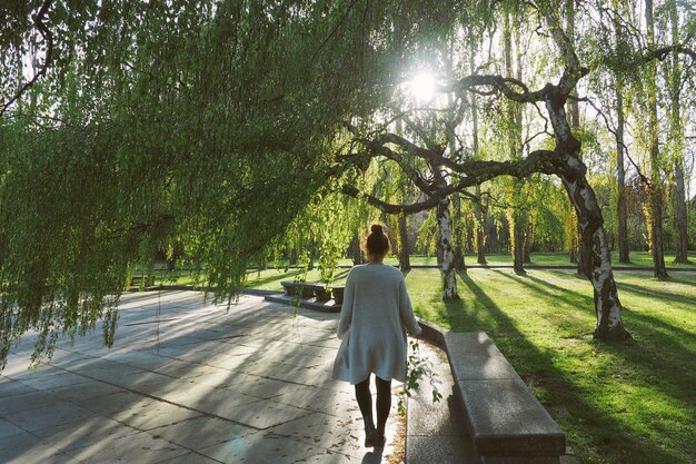 Achtergrondbeeld van een vrouw die bij een boom in het park loopt