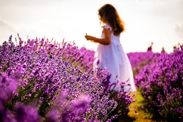 Achtergrondbeeld van een vrouw die in het midden van paarse bloeiende planten op het veld staat