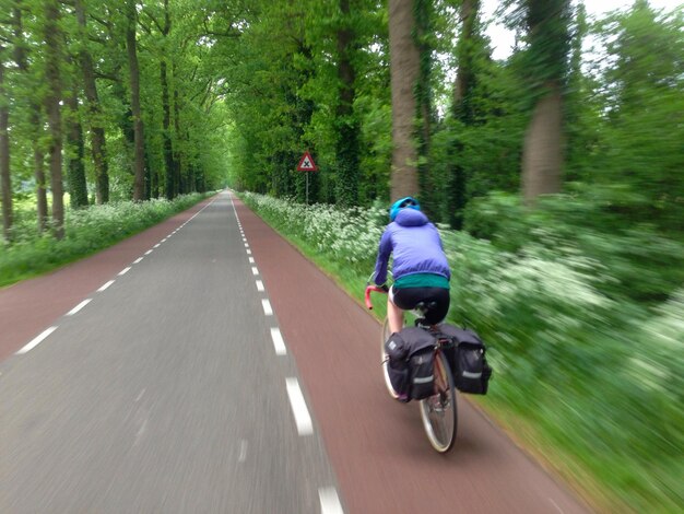 Achtergrondbeeld van een vrouw die op de weg in het bos fietst