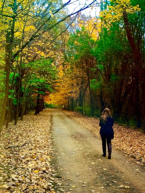 Foto achtergrondbeeld van een vrouw die op de weg in het bos loopt