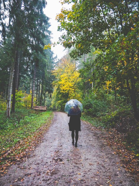 Foto achtergrondbeeld van een vrouw die op een voetpad tussen bomen in het bos loopt