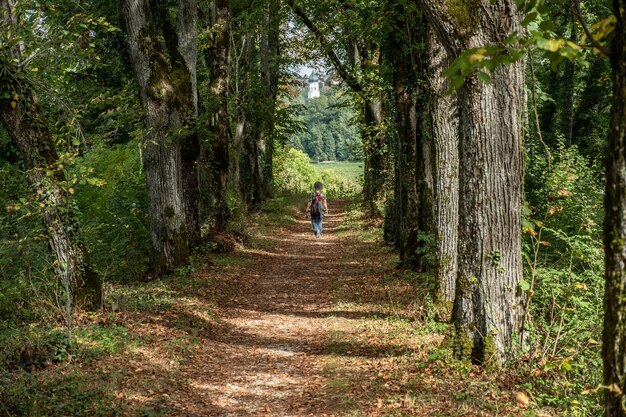 Achtergrondbeeld van een vrouw die op een voetpad tussen bomen in het bos loopt