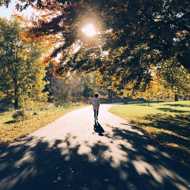 Foto achtergrondbeeld van een vrouw die op een zonnige dag op de weg in het park loopt