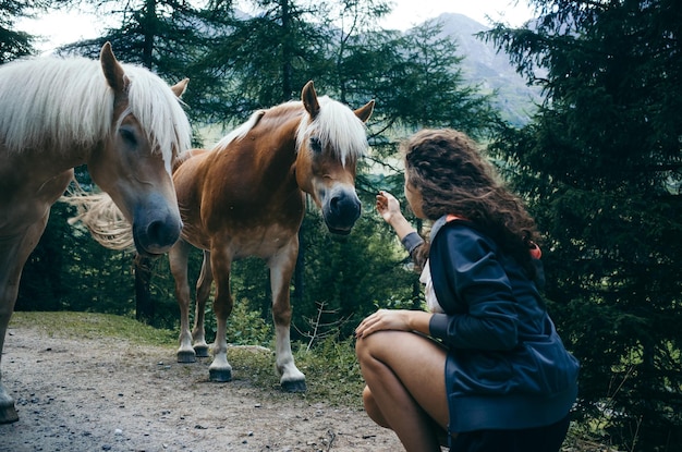 Foto achtergrondbeeld van een vrouw die op het veld kruipt met paarden tegen de lucht