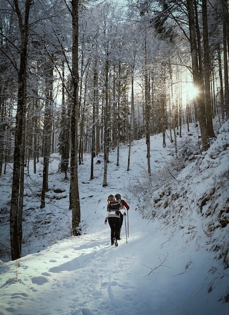 Foto achtergrondbeeld van mensen die in een met sneeuw bedekt bos wandelen