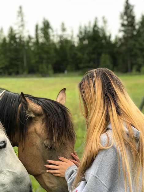 Foto achtergrondbeeld van paard op het veld