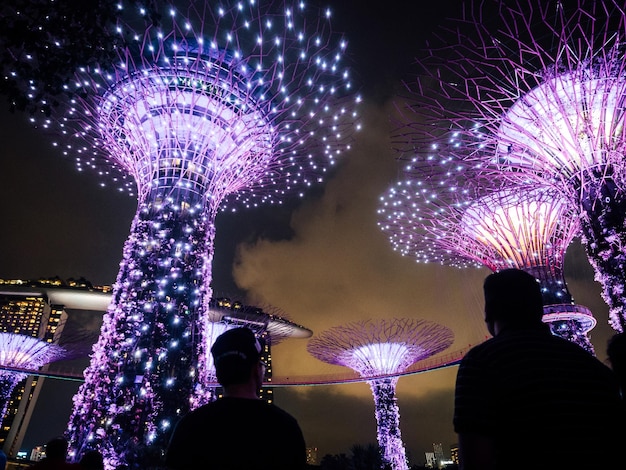 Achtergrondbeeld van silhouet mannen die voor een verlichte supertree bos staan