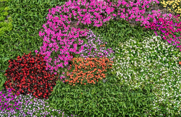 Achtergrondmateriaal van bloemen en planten muur