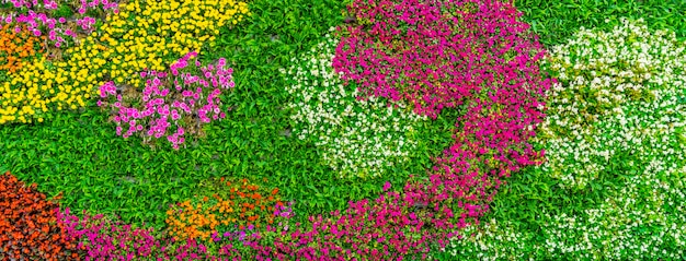 Achtergrondmateriaal van bloemen en planten muur