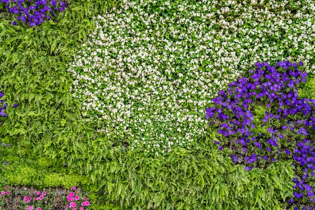 Achtergrondmateriaal van bloemen en planten muur