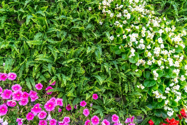 Achtergrondmateriaal van bloemen en planten muur