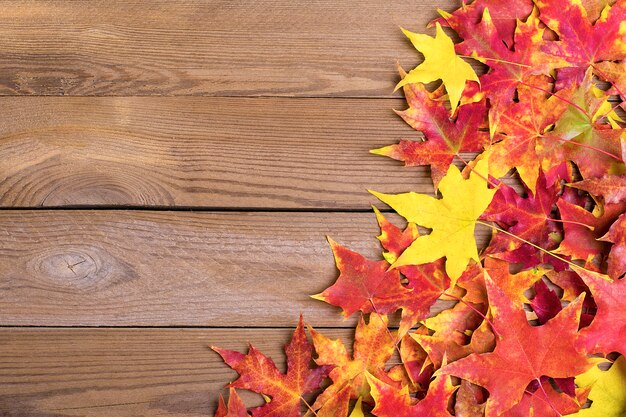 Achtergrondtextuur met oude houten lijst en gele herfst gevallen esdoornbladeren