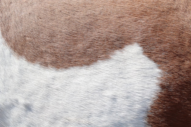 Achtergrondtextuur van de huid en de wol van een varken, paard, koe.