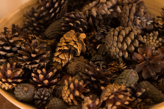 Achtergrondtextuur van gedroogde natuurlijke dennenappels in een keramische kom conceptueel van het kerstseizoen