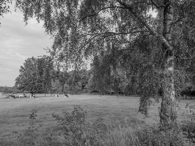 Photo achterhoek in holland