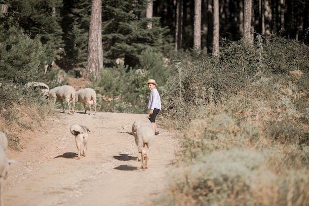 Achterkant op blanke kleine tienerjongen met hoed die buiten in het veld loopt en voor schapen zorgt